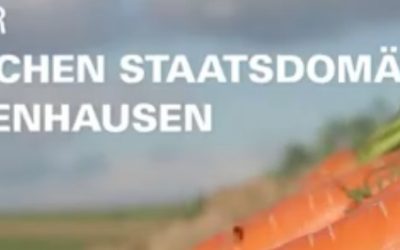 Woher die Möhre kommt