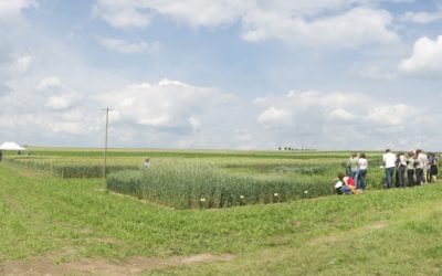 Frankenhausen: Bio & Regional in Nordhessen