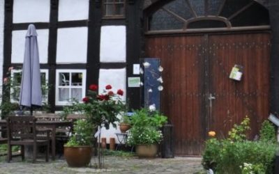 TV-Dreh auf Bio Hof Brinkmann