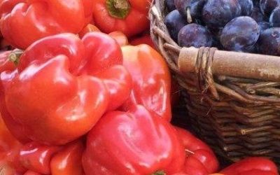 Breminale 2016: BioErleben-Tage
