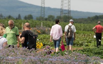 Pappelhof: Querbeet bringt‘s!