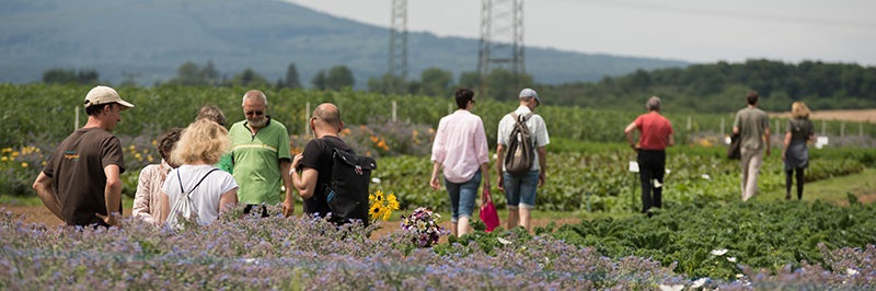 Pappelhof: Querbeet bringt’s!